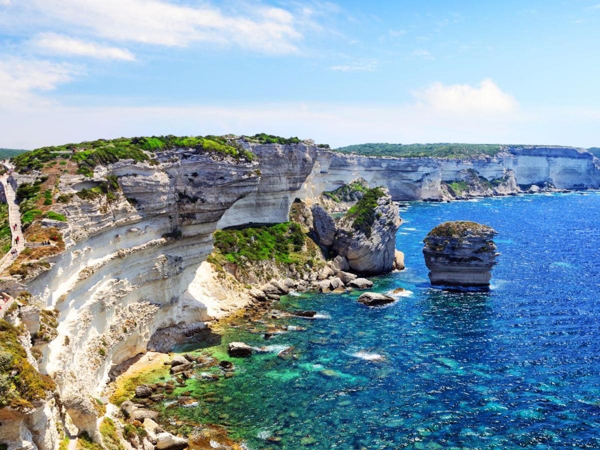 Magnifique T3 Les Hauts Du Port Bonifacio *